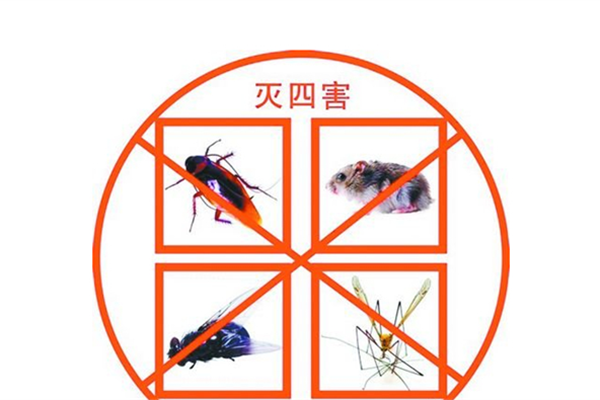 長沙四害消殺,長沙消殺公司,除四害公司,守護(hù)者生物工程