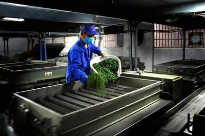 產地食材 | 觀心,喝自己的茶,為自己喝茶