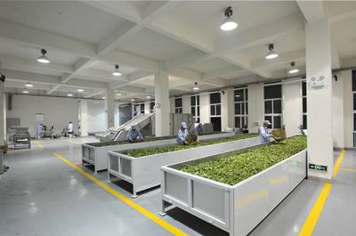 厲害了，我的茶！祥源茶業(yè)收獲好評(píng)不斷