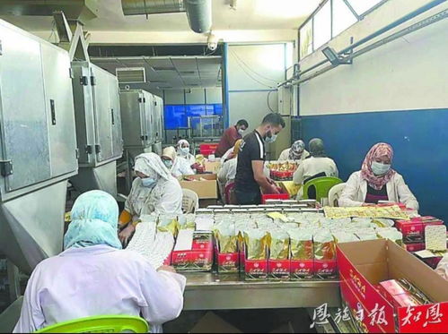 摩洛哥鶴峰茶錨定北非市場(chǎng)的背后 茶業(yè)戰(zhàn)略解析