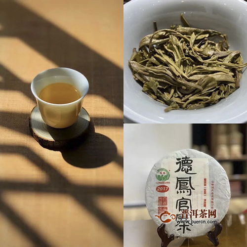 茶煎春色 德鳳茶業(yè)2020官寨春茶季正式開(kāi)采